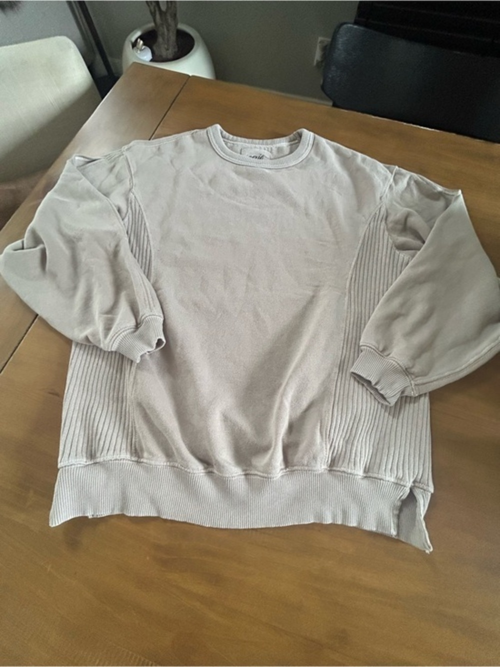 NWT Aerie Jet Setter Crew Sweatshirt